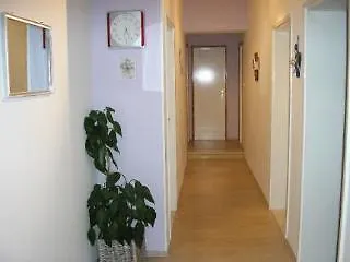 Lina Brsečine