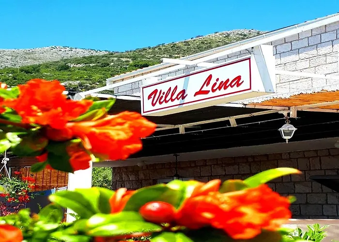 Lina Villa
